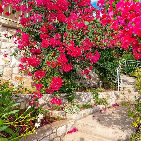 2 Bedroom Beautiful In Blato Apartment